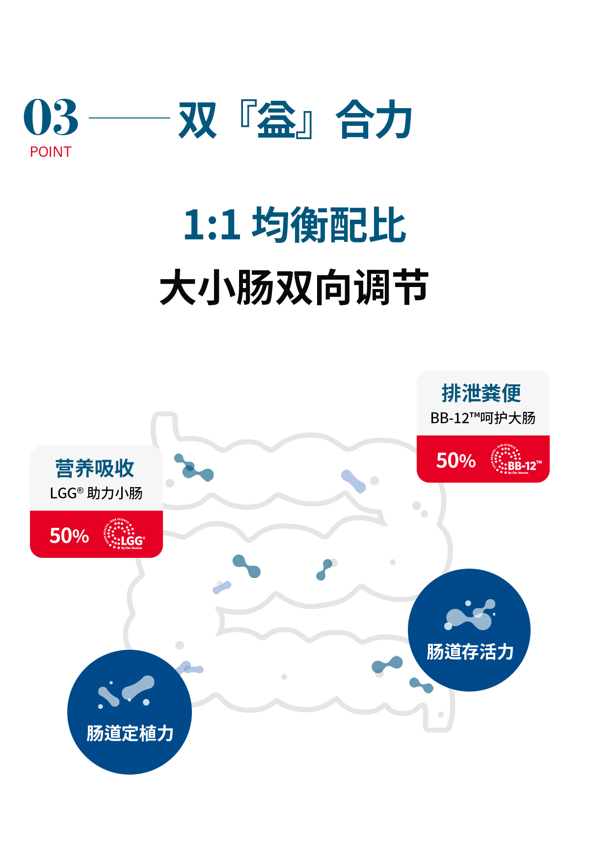 DENPS益生菌S3商品详情页_11.jpg