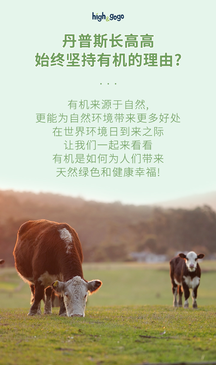 03. 위챗-롱_01.png
